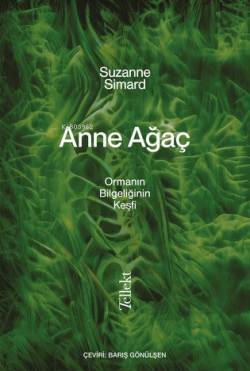 Anne Ağaç;Ormanın Bilgeliğin Keşfi - Suzanne Simard | Yeni ve İkinci E