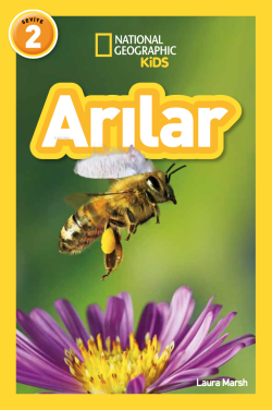 Arılar