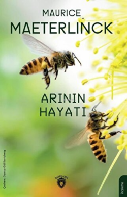 Arının Hayatı