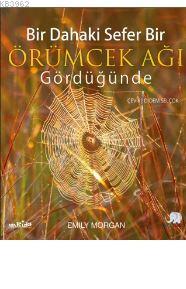 Bir Dahaki Sefer Örümcek Ağı Gördüğünde