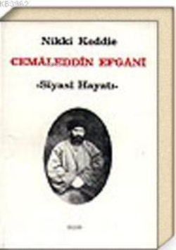 Cemaleddin Efgani - Siyasi Hayatı