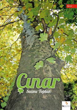 Çınar