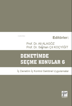 Denetimde Seçme Konular 6 ;İç Denetim Kontrol Sektörel Uygulamalar