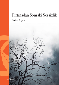 Fırtınadan Sonraki Sessizlik