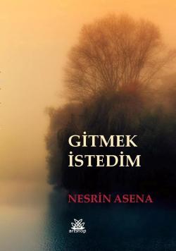 Gitmek İstedim