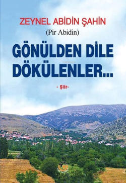 Gönülden Dile Dökülenler - Zeynel Abidin Şahin | Yeni ve İkinci El Ucu