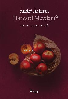 Harvard Meydanı