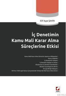 İç Denetimin Kamu Mali Karar Alma Süreçlerine Etkisi