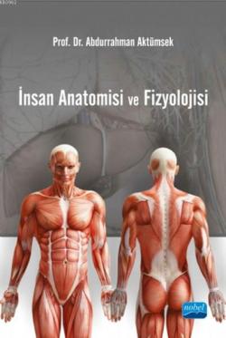 İnsan Anatomisi Ve Fizyolojisi