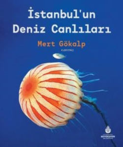 İstanbul’un Deniz Canlıları