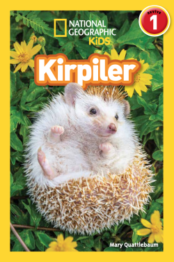 Kirpiler