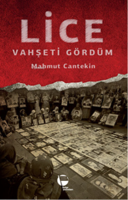 Lice Vahşeti Gördüm