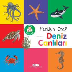 Minik Kitaplarım – Deniz Canlıları