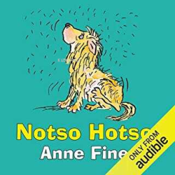 Notso Hotso - Anne Fine | Yeni ve İkinci El Ucuz Kitabın Adresi