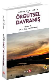 Örnek Olaylarla Örgütsel Davranış