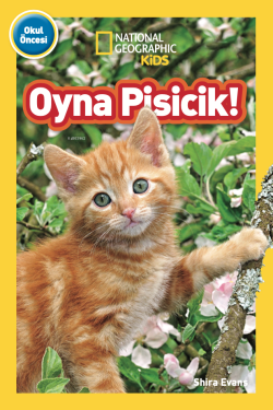 Oyna Pisicik