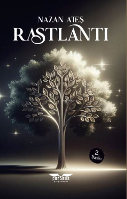 Rastlantı;1. Kitap