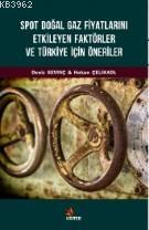 Spot Doğal Gaz Fiyatlarını Etkileyen Faktörler ve Türkiye İçin Öneriler