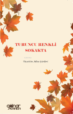 Turuncu Renkli Sokakta