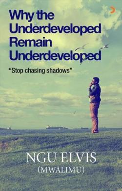 Why The Underdeveloped Remain Underdeveloped; "Stop Chasing Shadows"