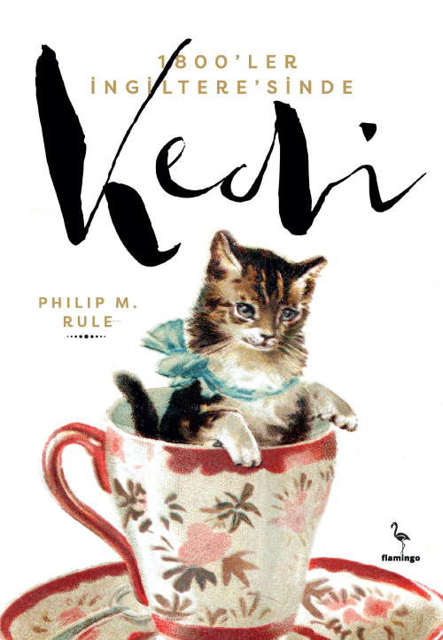 1800'ler İngiltere'sinde Kedi - Philip M. Rule | Yeni ve İkinci El Ucu