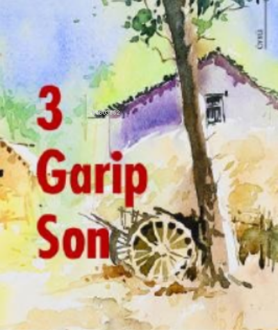 3 Garip Son - Mustafa Naci Özer | Yeni ve İkinci El Ucuz Kitabın Adres