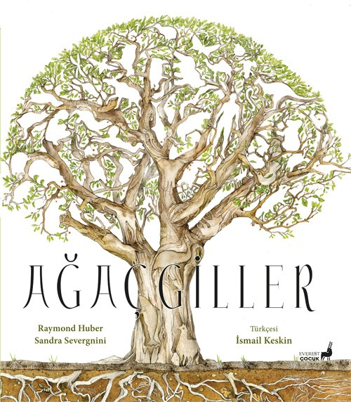 Ağaçgiller - Raymond Huber | Yeni ve İkinci El Ucuz Kitabın Adresi