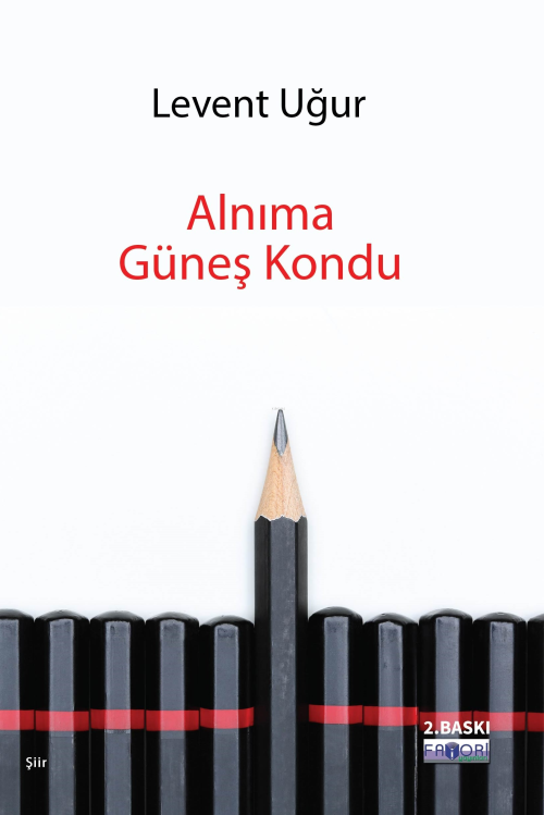 Alnıma Güneş Kondu - Levent Uğur | Yeni ve İkinci El Ucuz Kitabın Adre