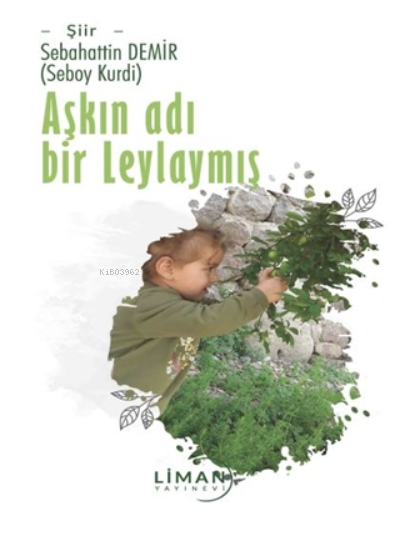 Aşkın Adı Bir Leylaymış - Sebahattin Demir (Seboy Kurdi) | Yeni ve İki