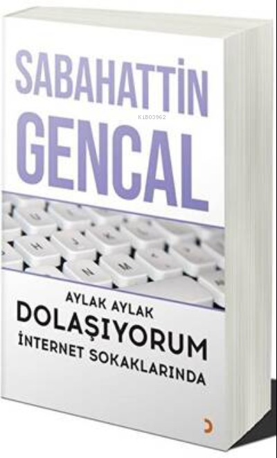 Aylak Aylak Dolaşıyorum İnternet Sokaklarında - Sabahattin Gencal | Ye