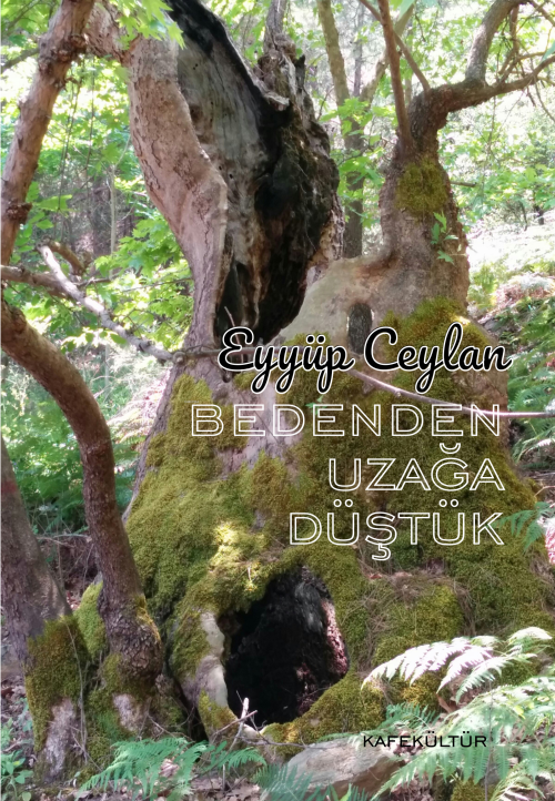 Bedenden Uzağa Düştük - Eyyüp Ceylan | Yeni ve İkinci El Ucuz Kitabın 