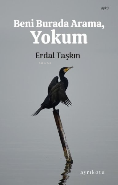 Beni Burada Arama Yokum - Erdal Taşkın | Yeni ve İkinci El Ucuz Kitabı