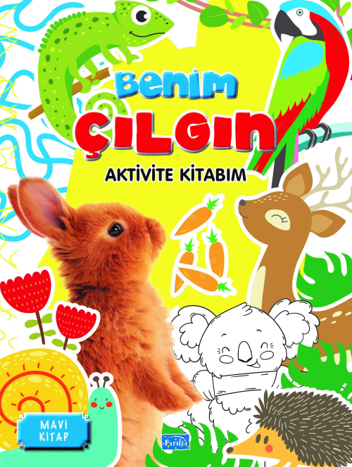 Benim Çılgın Aktivite Kitabım – Mavi Kitap - Barbaros Özcan | Yeni ve 