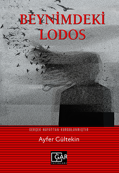 Beynimdeki Lodos - Ayfer Gültekin | Yeni ve İkinci El Ucuz Kitabın Adr