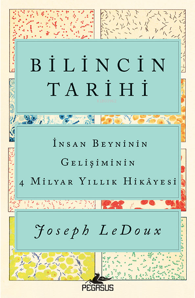 Bilincin Tarihi; İnsan Beyninin Gelişiminin 4 Milyar Yıllık Hikayesi -