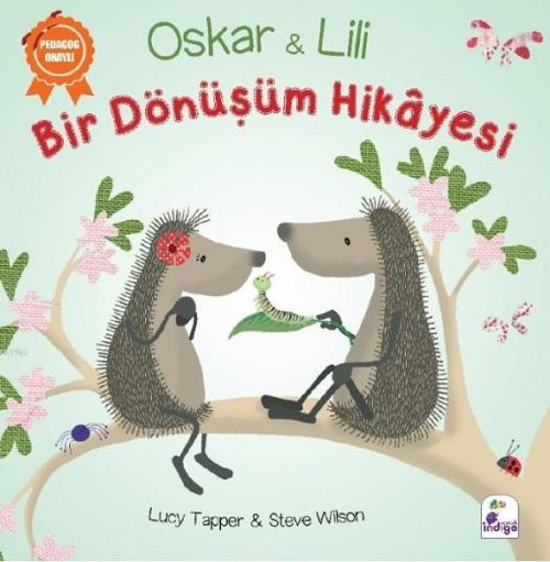 Bir Dönüşüm Hikayesi - Lucy Tapper Steve Wilson | Yeni ve İkinci El Uc