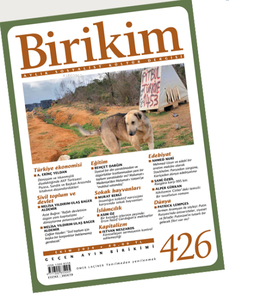 Birikim - Kolektif | Yeni ve İkinci El Ucuz Kitabın Adresi