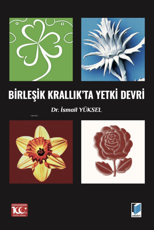 Birleşik Krallık'ta Yetki Devri - İsmail Yüksel | Yeni ve İkinci El Uc