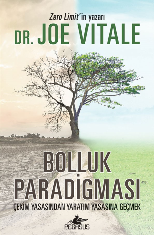 Bolluk Paradigması: Çekim Yasasından Yaratım Yasasına Geçmek - Joe Vıt