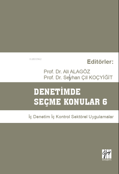 Denetimde Seçme Konular 6 - Ali Alagöz | Yeni ve İkinci El Ucuz Kitabı