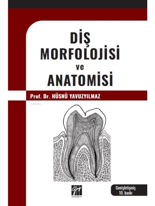 Diş Morfolojisi Ve Anatomisi - Hüsnü Yavuzyılmaz | Yeni ve İkinci El U