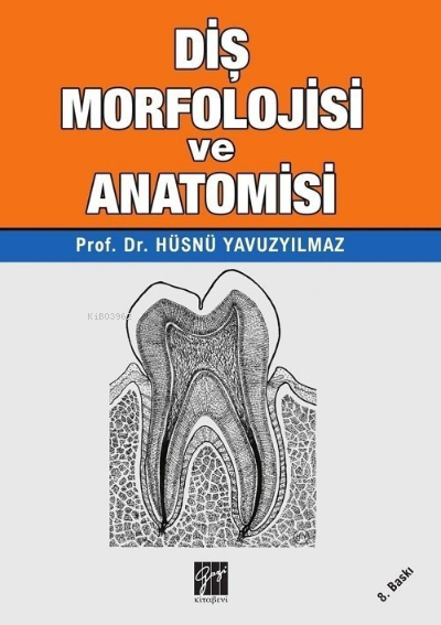 Diş Morfolojisi ve Anatomisi - Hüsnü Yavuzyılmaz | Yeni ve İkinci El U