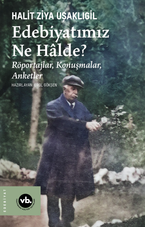 Edebiyatımız Ne Halde?;Röportajlar, Konuşmalar, Anketler - Halit Ziya 