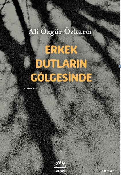 Erkek Dutların Gölgesinde - Ali Özgür Özkarcı | Yeni ve İkinci El Ucuz