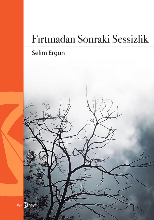 Fırtınadan Sonraki Sessizlik - Selim Ergun | Yeni ve İkinci El Ucuz Ki