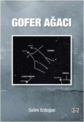 Gofer Ağacı - Selim Erdoğan | Yeni ve İkinci El Ucuz Kitabın Adresi