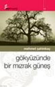 Gökyüzünde Bir Mızrak Güneş - Mehmet Şahinkoç | Yeni ve İkinci El Ucuz