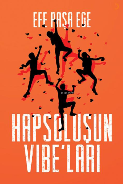 Hapsoluşun Vibe’ları - Efe Paşa Ege | Yeni ve İkinci El Ucuz Kitabın A