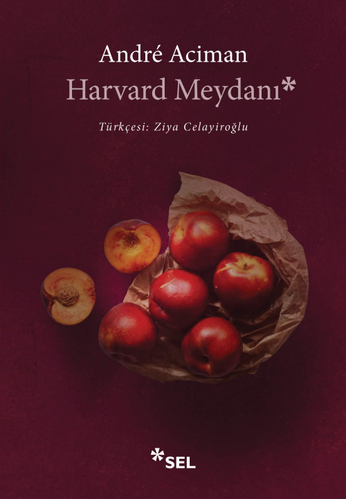 Harvard Meydanı - André Aciman | Yeni ve İkinci El Ucuz Kitabın Adresi