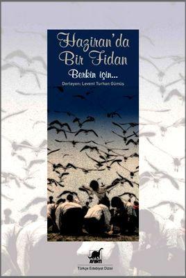 Haziranda Bir Fidan - Levent Turhan Gümüş | Yeni ve İkinci El Ucuz Kit